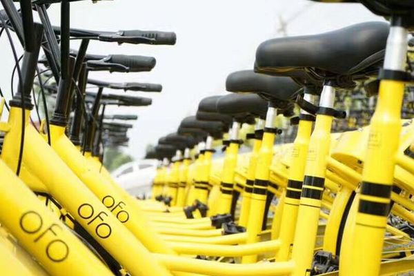 1121272628_14993040373011n 1121272628_14993040373011n