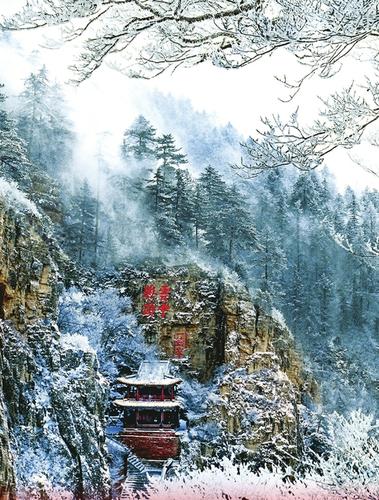 1121258083_14991264990311n 1121258083_14991264990311n