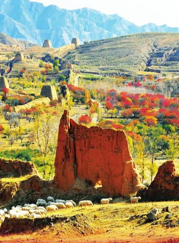 1121258083_14991264990461n 1121258083_14991264990461n