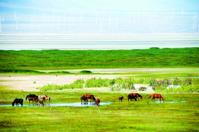 W020170706409812157994 W020170706409812157994