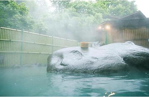 W020170706366294607527 W020170706366294607527