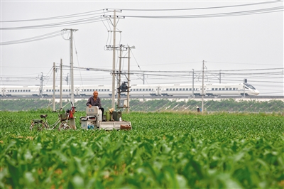 1121287238_14995553906651n 1121287238_14995553906651n