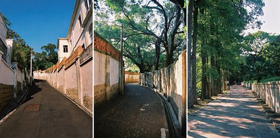 1499512866245378.jpg?x-oss-process=style/w7 鼓浪屿历史道路.jpg?x-oss-process=style/w7