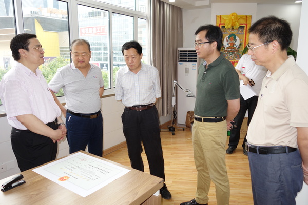 领导、专家参观芜湖华盛中医医院