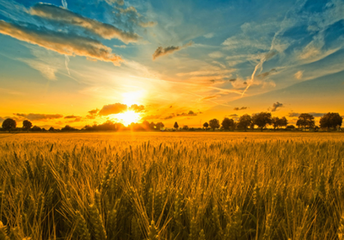 t01be22f0ea5b9605d5 t01be22f0ea5b9605d5