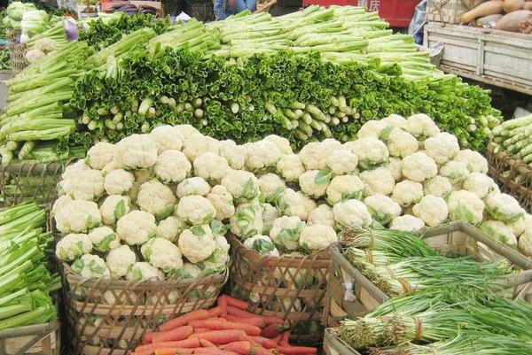 QQ截图20170710091239 QQ截图20170710091239