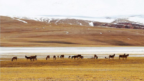 2011090114435750 2011090114435750