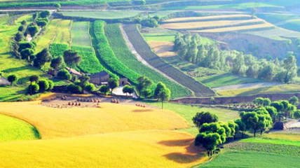 t010013f1c70356eaf0 t010013f1c70356eaf0