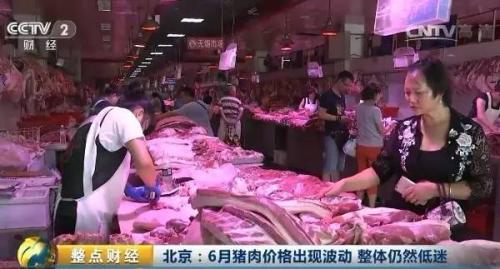 9ec73a9a7e7347c89a9586970b5ab7b3 9ec73a9a7e7347c89a9586970b5ab7b3