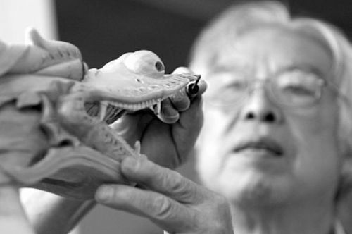 P201009090935567969143349 P201009090935567969143349