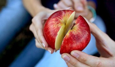 u=88918528,457158587&fm=72 u=88918528,457158587&fm=72