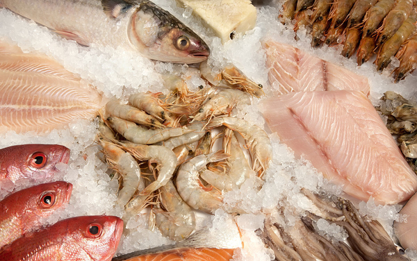 14ce36d3d539b600df075692e350352ac75cb7ce_副本 14ce36d3d539b600df075692e350352ac75cb7ce_副本