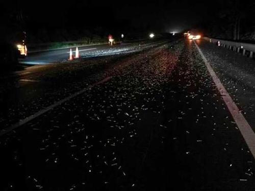 废品货车高速上一路抛洒铁钉40多公里 百辆车遭殃