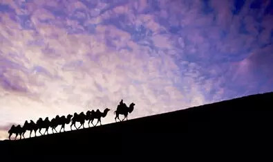 201503290519165269 201503290519165269