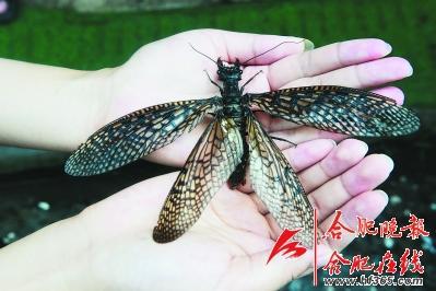 1499759122519665 1499759122519665