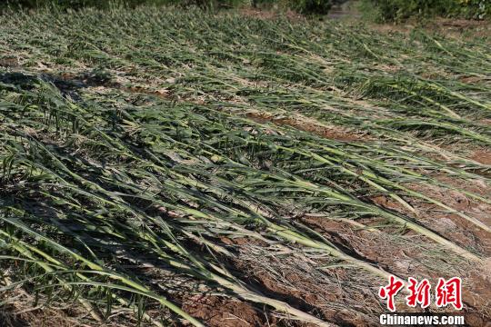 2017年前6月自然灾害致贵州317.43万人次受灾