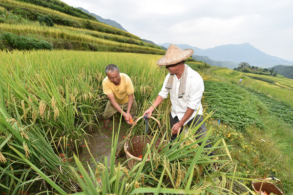 M000AACCggSA1X9NzmAO3sEAAOASkJHv6U851 M000AACCggSA1X9NzmAO3sEAAOASkJHv6U851