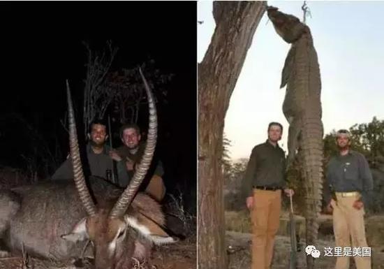 媒体:川普大儿子争宠争不过妹妹 又把爹坑大发了