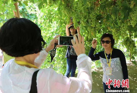 图为华教代表在葡萄架下留影?！」⒌さ?摄