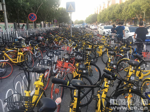 1121310424_14999045800771n 1121310424_14999045800771n