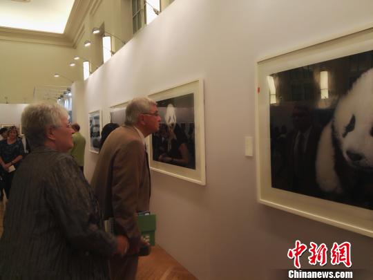 “熊猫与世界—中国大熊猫保护文化艺术成就展”在德国柏林罗根豪斯展厅隆重开幕 钟欣 摄