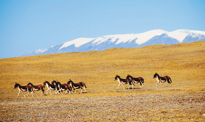 W020170712336167392238 W020170712336167392238