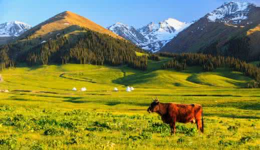 u=3551250292,26028221&fm=26&gp=0 u=3551250292,26028221&fm=26&gp=0