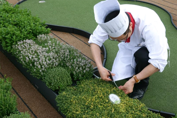 1121261514_14992373420931n 1121261514_14992373420931n