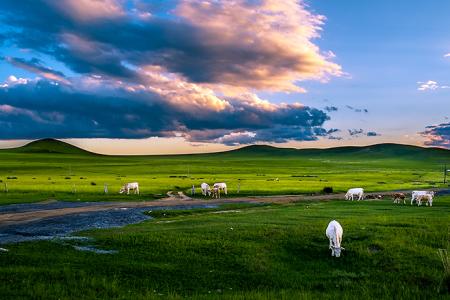 u=1413418723,3607541650&fm=26&gp=0 u=1413418723,3607541650&fm=26&gp=0