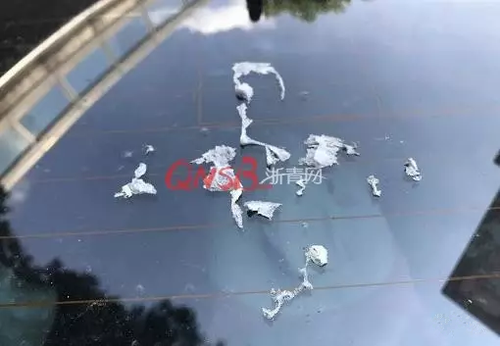 停车难！女子小区停车被保安贴单子大骂：不要脸