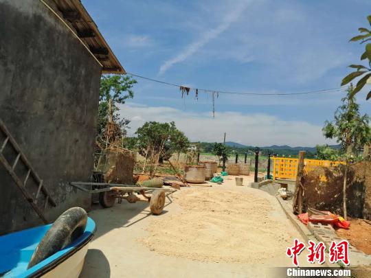 除部分树枝和电线上还残留着洪水中的杂物外，坝塘镇的灾后垃圾已基本清理完毕?！⊥蹶魂?摄