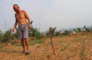 山东旱情仍继续:莫言故乡高密每个月停水6天