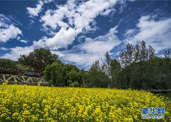 wKhTlVeN3VWEcDz6AAAAACMTxY8233_690x495!690x495 wKhTlVeN3VWEcDz6AAAAACMTxY8233_690x495!690x495