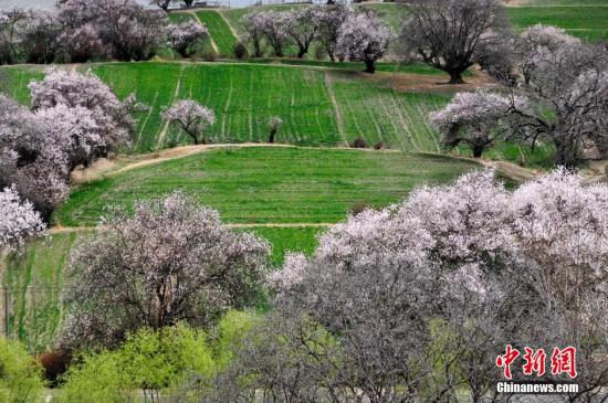 fc2c4f35486d4c4fa425ce23d492d3cd fc2c4f35486d4c4fa425ce23d492d3cd