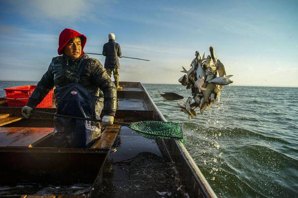 QQ截图20170717140921