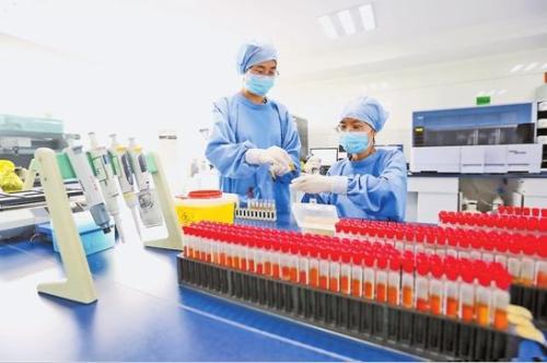 工作人员在酶免实验室做病毒检测。 点击进入下一页