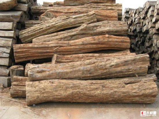 点击查看源网页