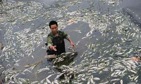 56f0d83624dec 56f0d83624dec