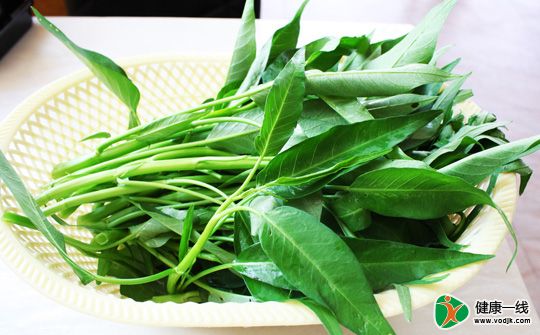 夏天易便秘 吃点空心菜