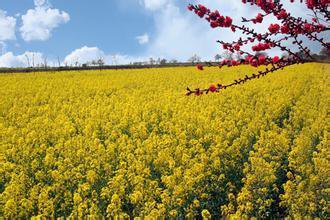 t01dc77fd7ca2a34b96 t01dc77fd7ca2a34b96