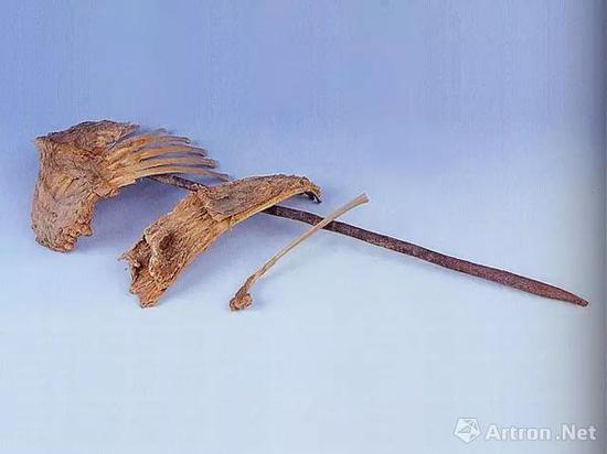 红柳串羊排 公元前800年 1985年自且末扎滚鲁克墓葬出土