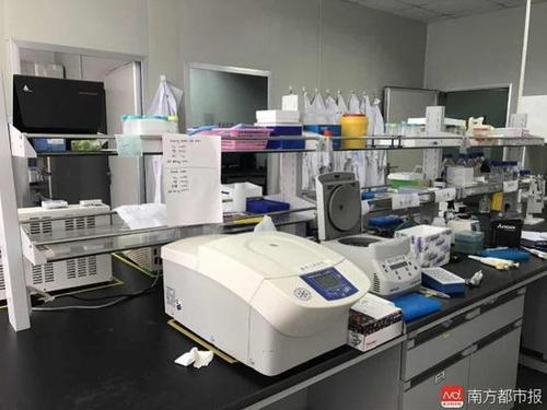 博士开公司代写发论文 国家课题每单收费几十万