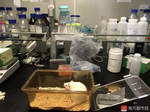 博士开公司代写发论文 国家课题每单收费几十万