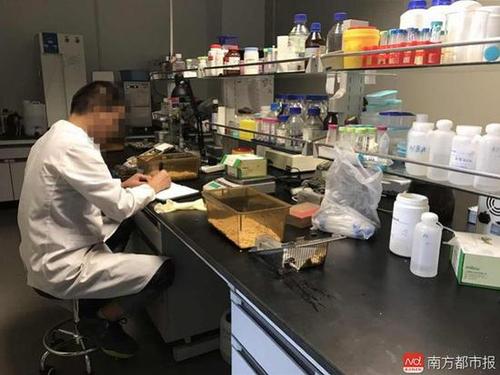 博士开公司代写发论文 国家课题每单收费几十万