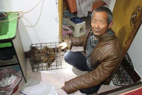 W020170720363332624639 W020170720363332624639