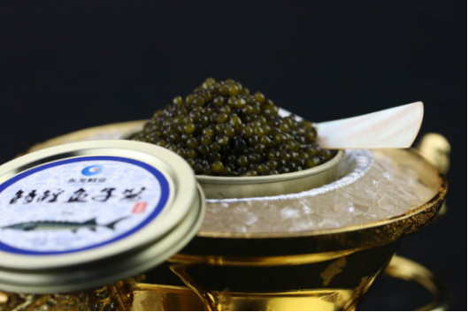 1121351467_15005213954061n 1121351467_15005213954061n