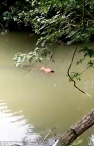 0086ca73ad63ada5f3d1dbae1007eeca.jpg 59529082bc4e24926ad928c2f26d41ef_640x480.jpg