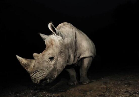 QQ截图20170721103117 QQ截图20170721103117