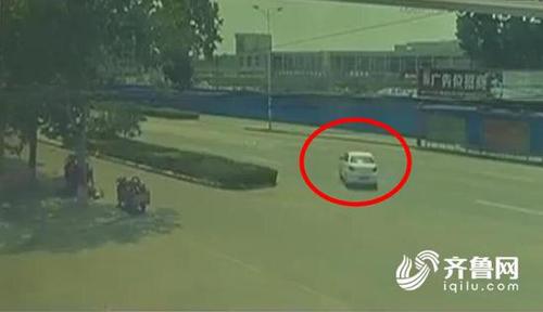 女子顺走天价蝴蝶花 系新品种母株价值2000万