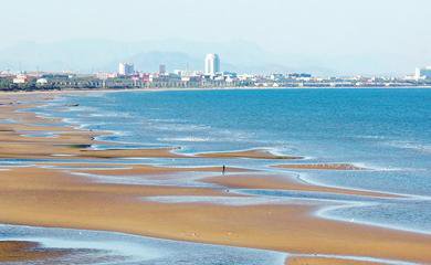 t019842d22d572b768a t019842d22d572b768a